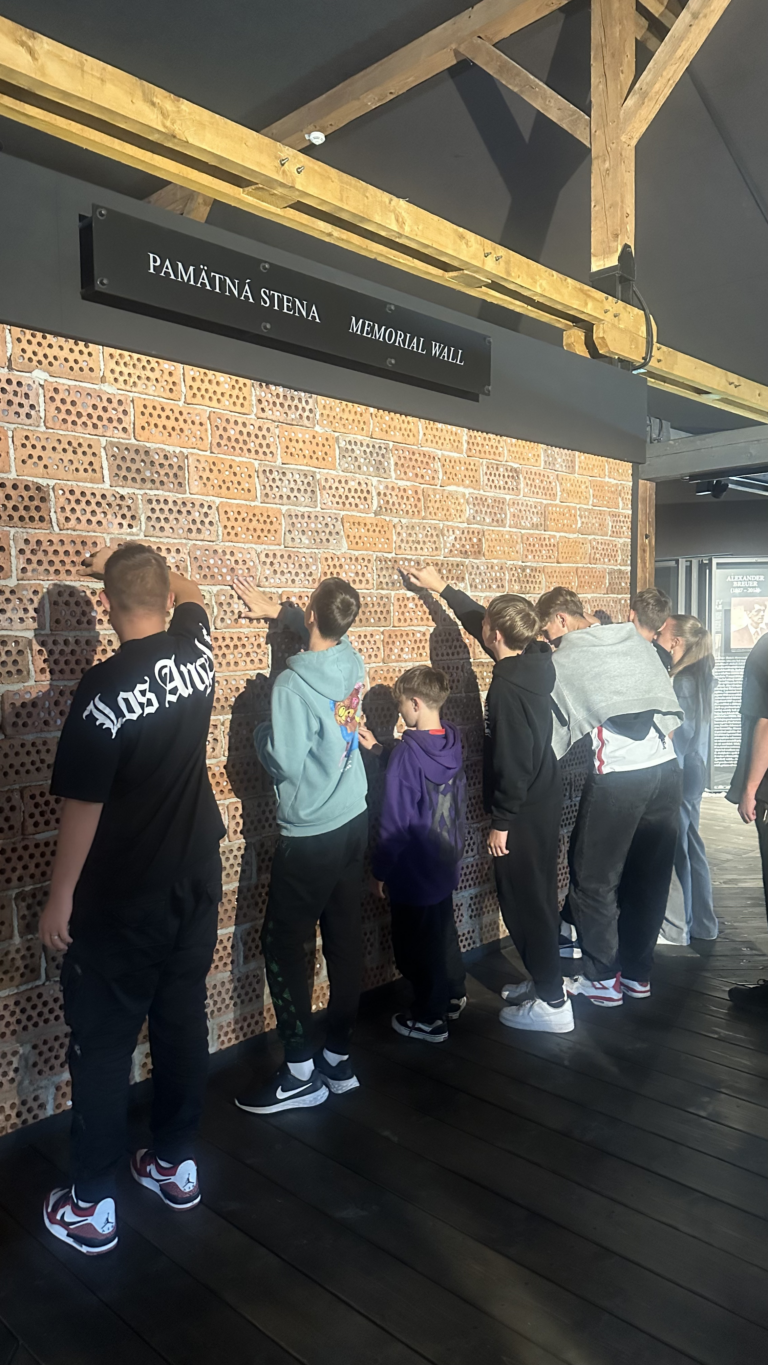 20240924_110336347_iOS